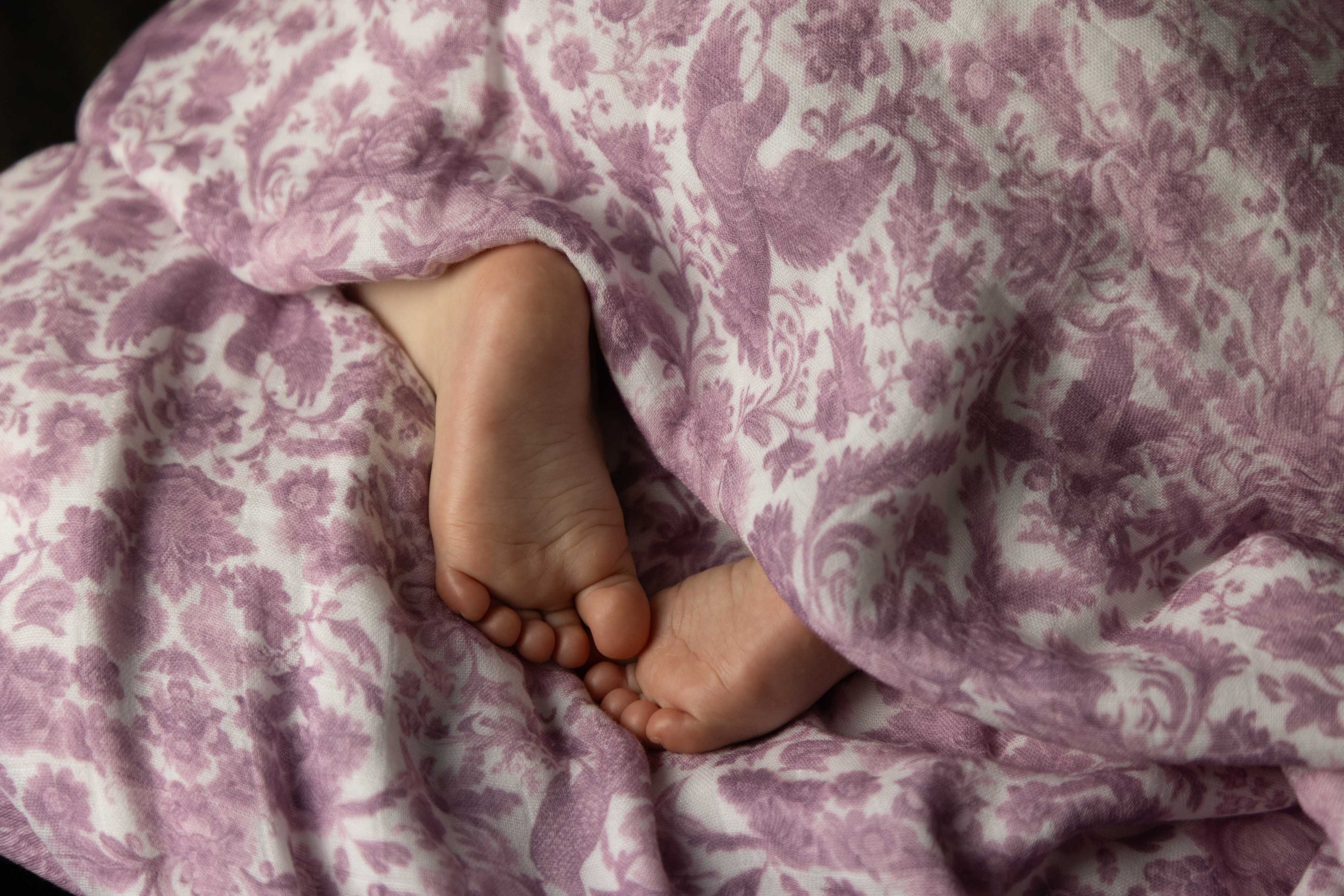Sara Toile Baby Blanket - Antique Rose