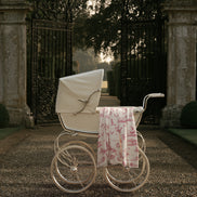 Flamingo Flight Toile Baby Blanket - Antique Rose