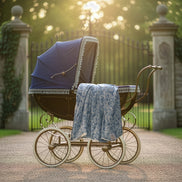Sara Toile Baby Blanket -  Heritage Blue