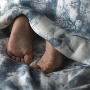 Wildwood Toile Baby Blanket - Dusty Teal