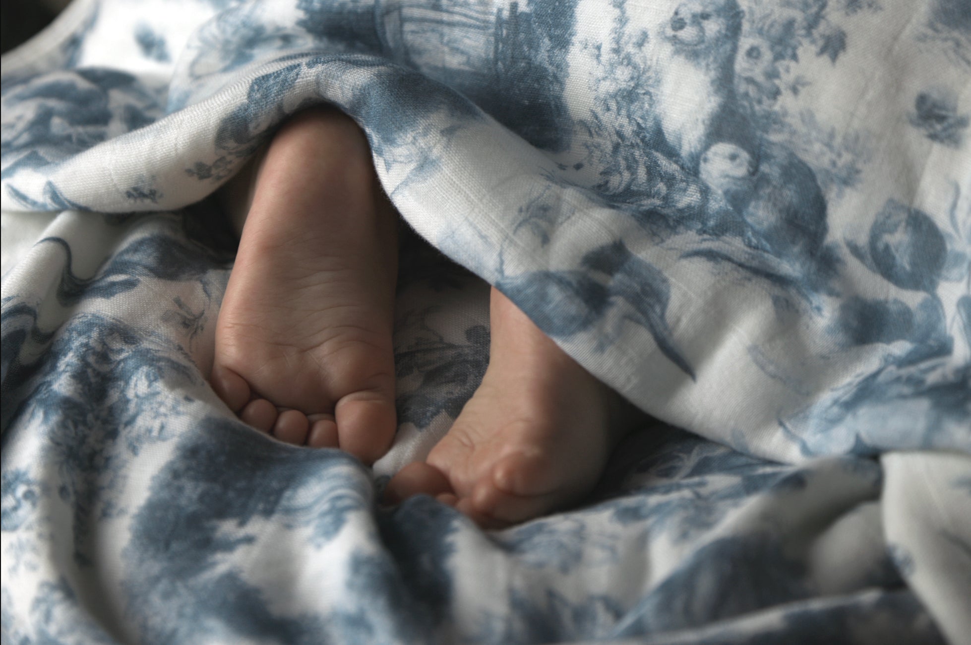 Wildwood Toile Baby Blanket - Dusty Teal
